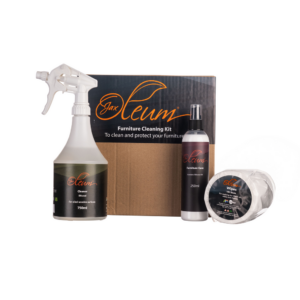 Furniture Cleaning Kit